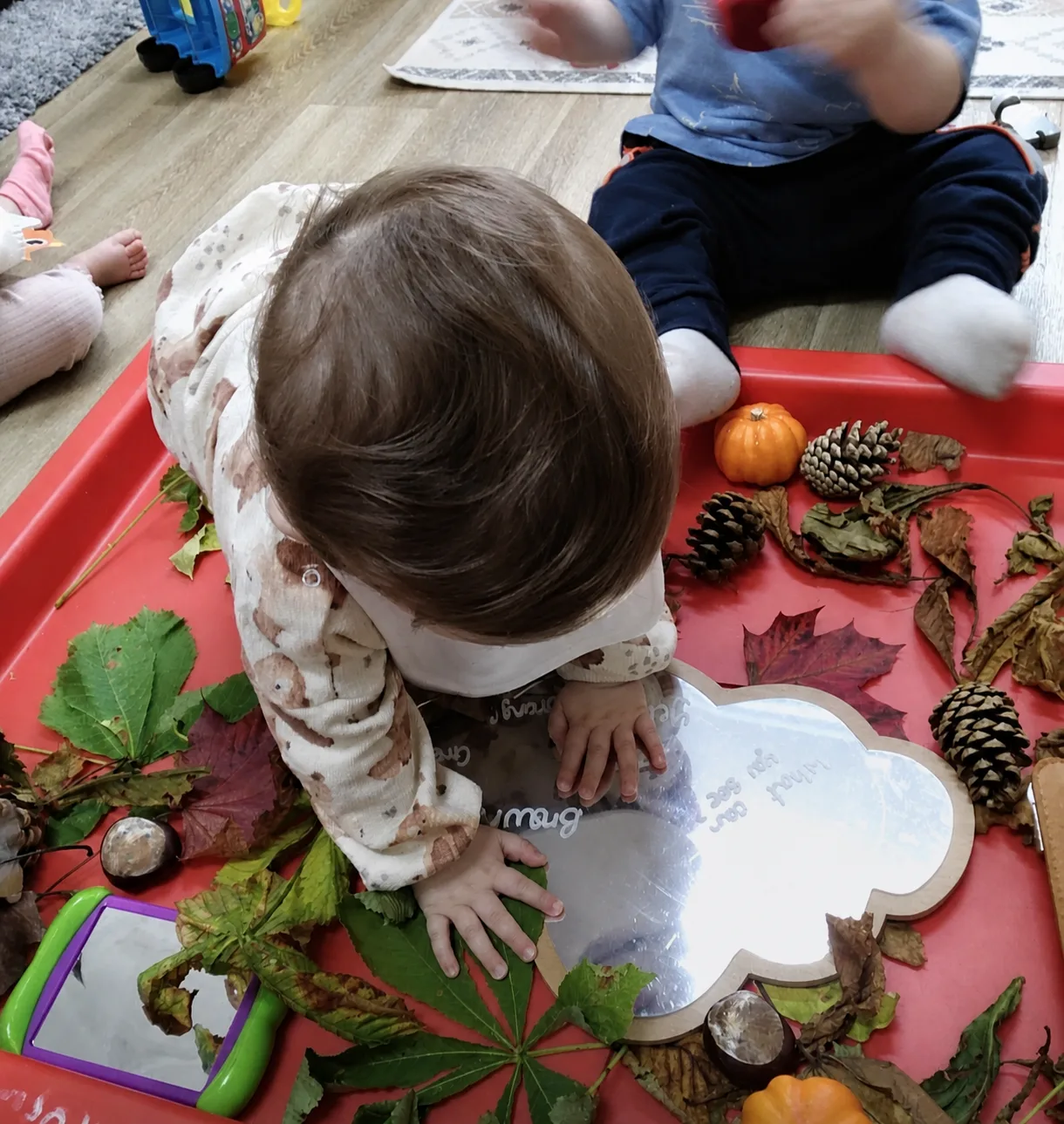 A child exploring autumn leaves, pinecones and seasonal objects in a sensory activity